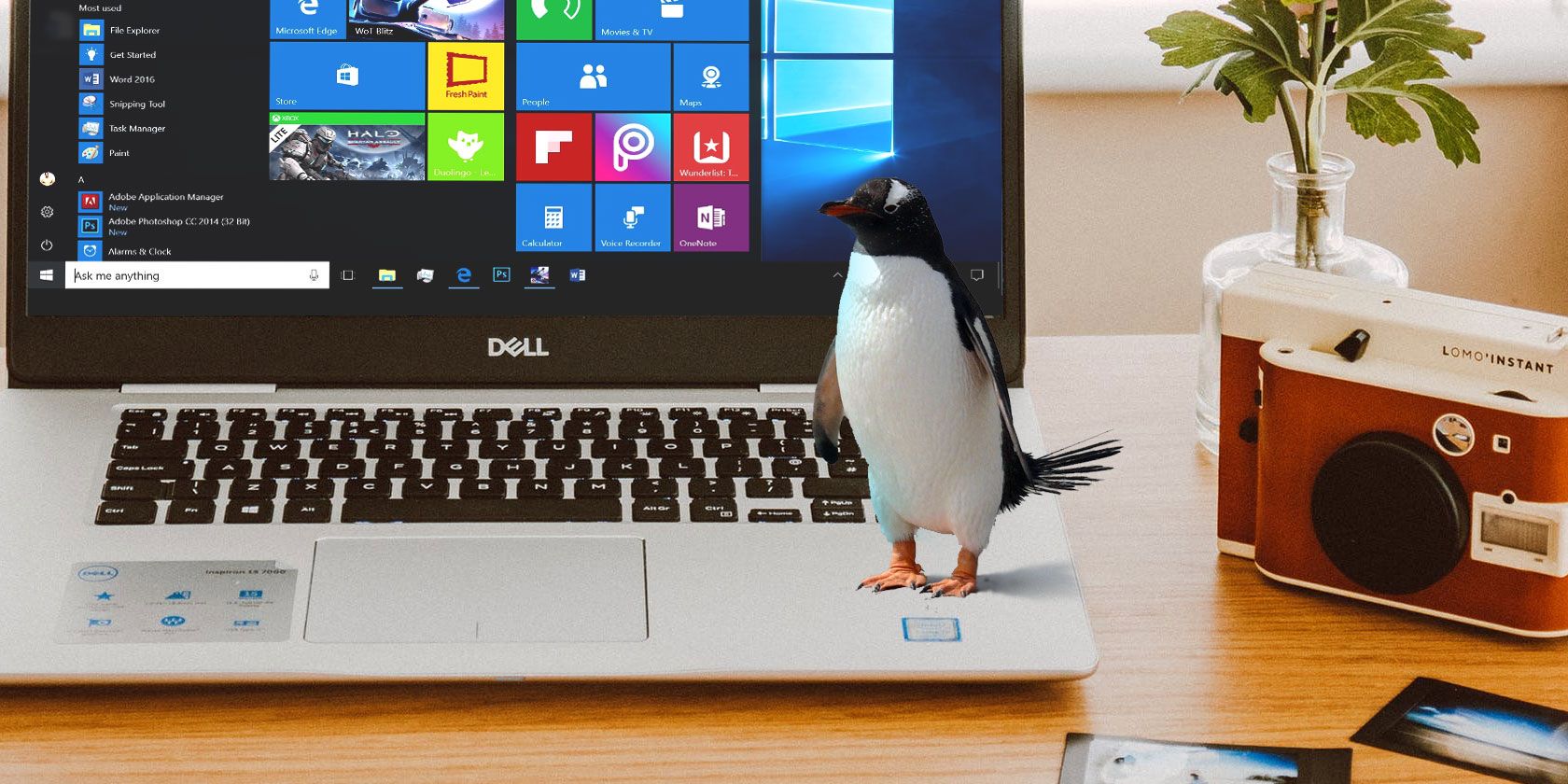 How to Transfer and Share Files Between Windows and Linux