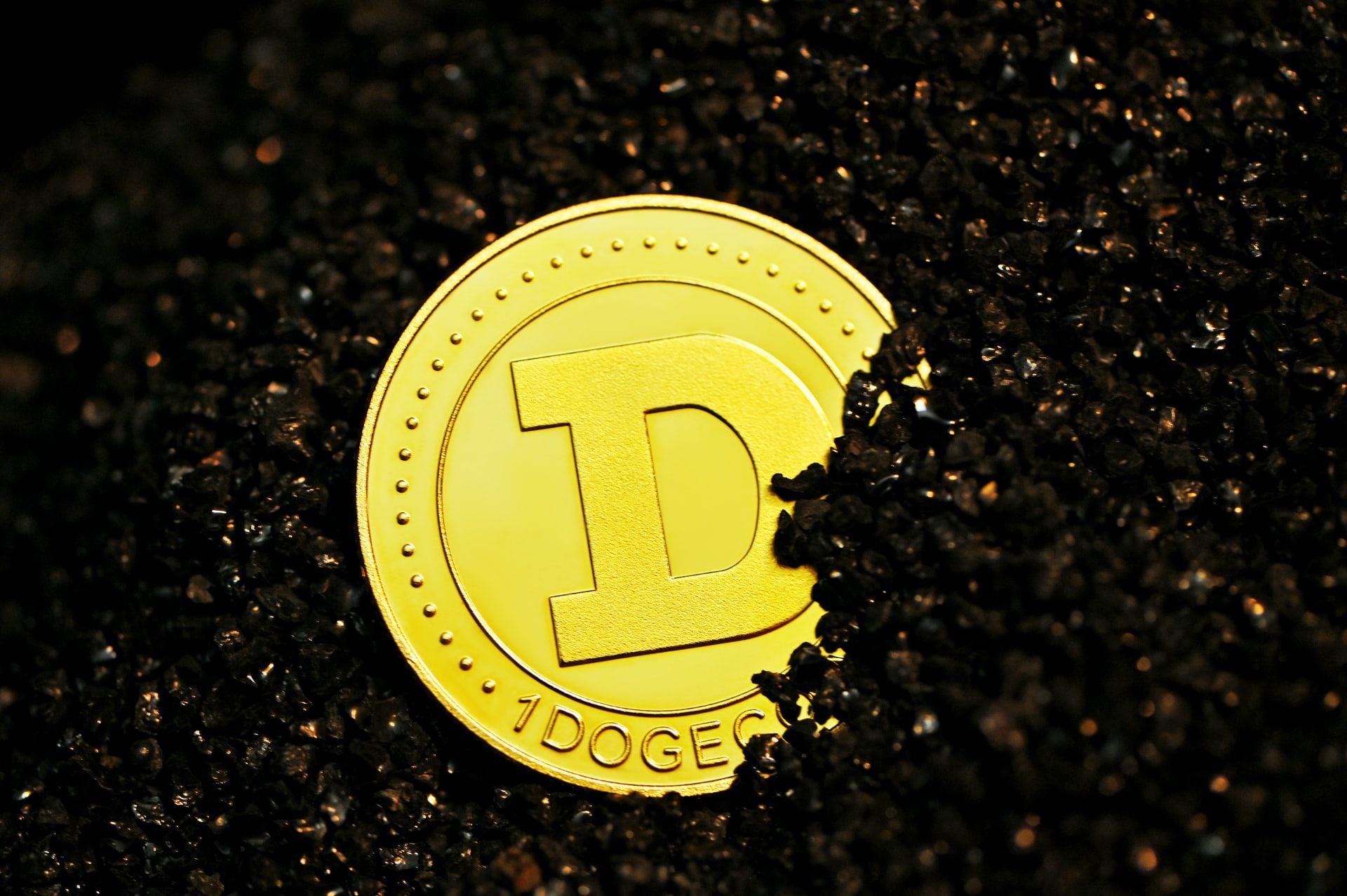 Image of a physical Dogecoin