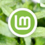 Linux Mint 21.1 Beta is Available to Download